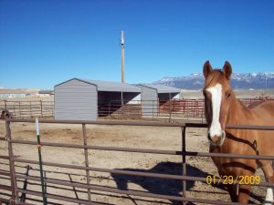 Horse Port